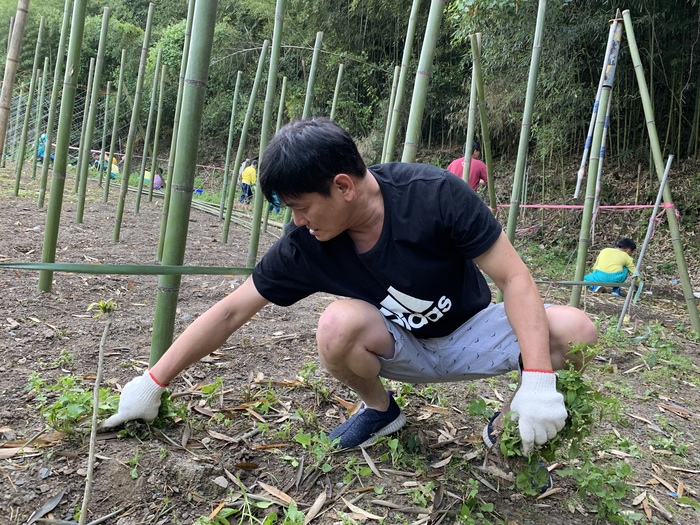 圖片說明