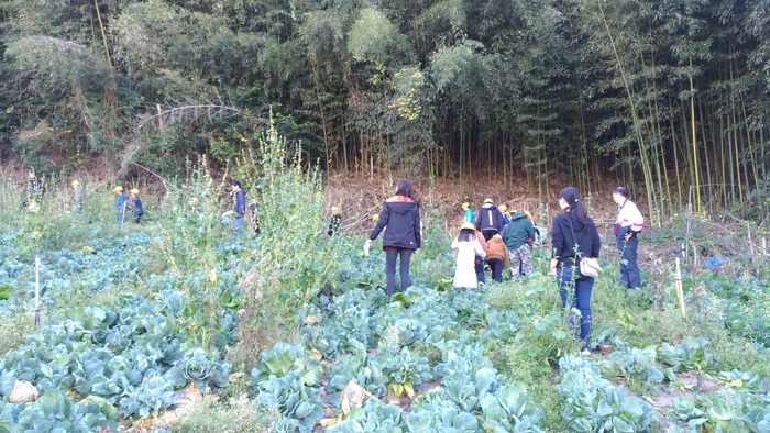 整片場地都是未來咖啡園